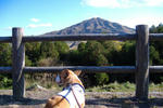 DSCF16356.JPG