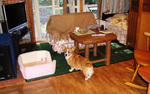DSCF16436.JPG