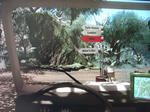 CIMG0816.JPG