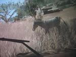 a5831bd6.JPG