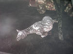 24886e7a.JPG