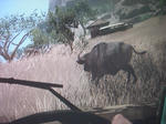 CIMG0847.JPG