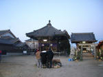 CIMG0932.JPG