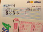 CIMG0995.JPG