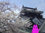 DSC00171.JPG