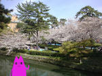 DSC00172.JPG