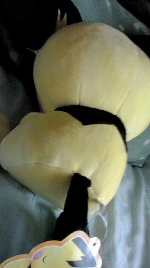 20090704161345.jpg