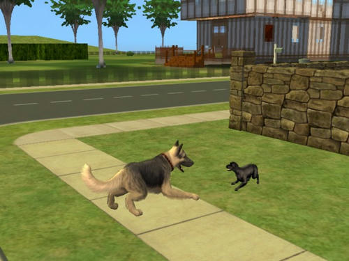 snapshot_74abcc32_35267609.jpg
