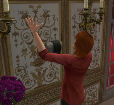 snapshot_3458ef51_b5a1c534.jpg
