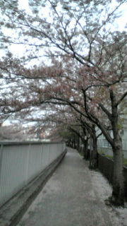 20090410181710.jpg