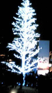 20091213183209.jpg