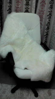 20100221183511.jpg