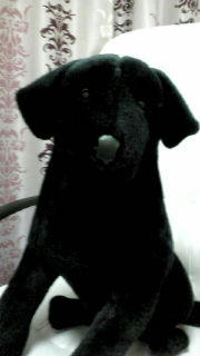 20100221183415.jpg