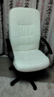 20100221183307.jpg