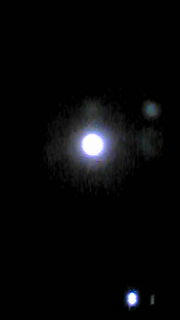 20100330205931.jpg