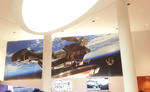 20120503_125013.jpg