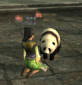 panda1.jpg