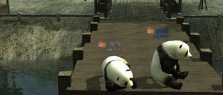 panda2.jpg