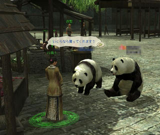 panda4.jpg