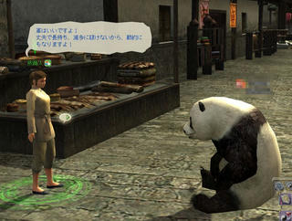 panda8.jpg