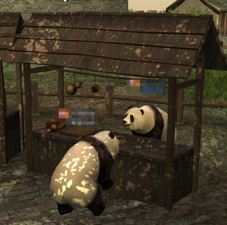 panda9.jpg