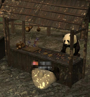 panda11.jpg