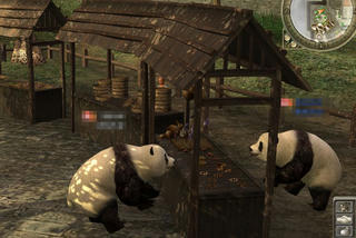 panda12.jpg