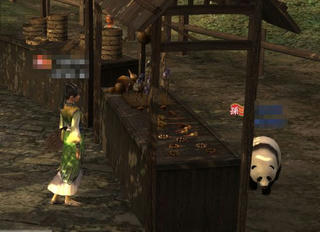 panda13.jpg