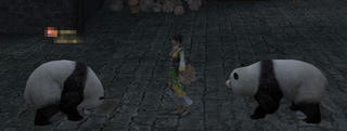 panda16.jpg