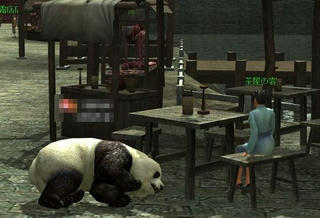 panda5.jpg