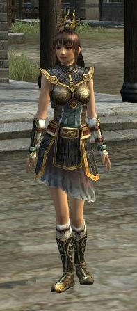 kinzoku-lv10-bk-F.jpg