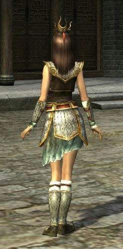 kinzoku-lv10-sp-Fb.jpg