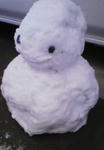 200802091558000.jpg