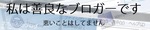 私は善良なブロガーです。悪いことはしてません