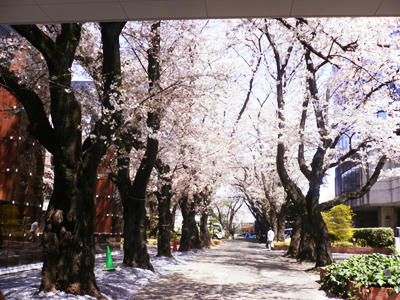 P1020574.JPG