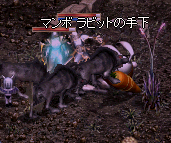 2009022804.png