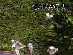 2009111604.png