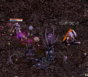 2010022401.png