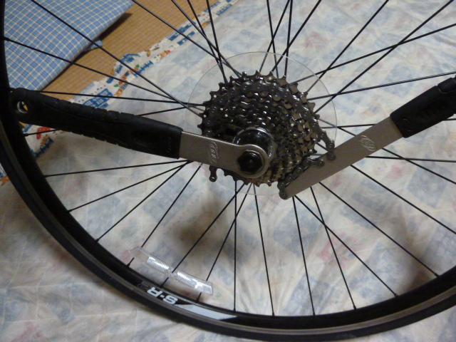 P1000189.JPG