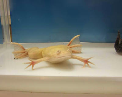 DSCF0258.JPG