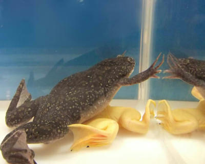 DSCF0259.JPG