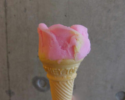 DSCF0262.JPG