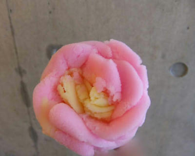 DSCF0263.JPG