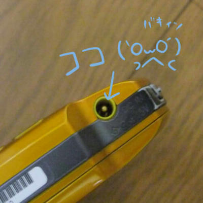 DSCF06421.JPG