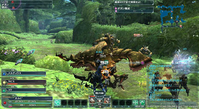 pso20120128_211338_016.jpg