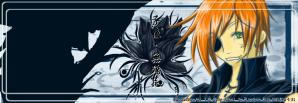 banner-Ravis.jpg