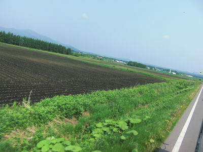 北海道の風景…。
