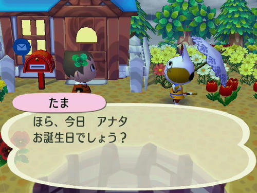 そうでした…。