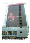F1070023-1.JPG
