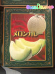 13307949_org.jpg